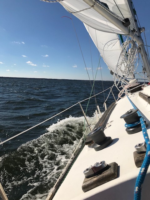 Sail December 2020.jpg