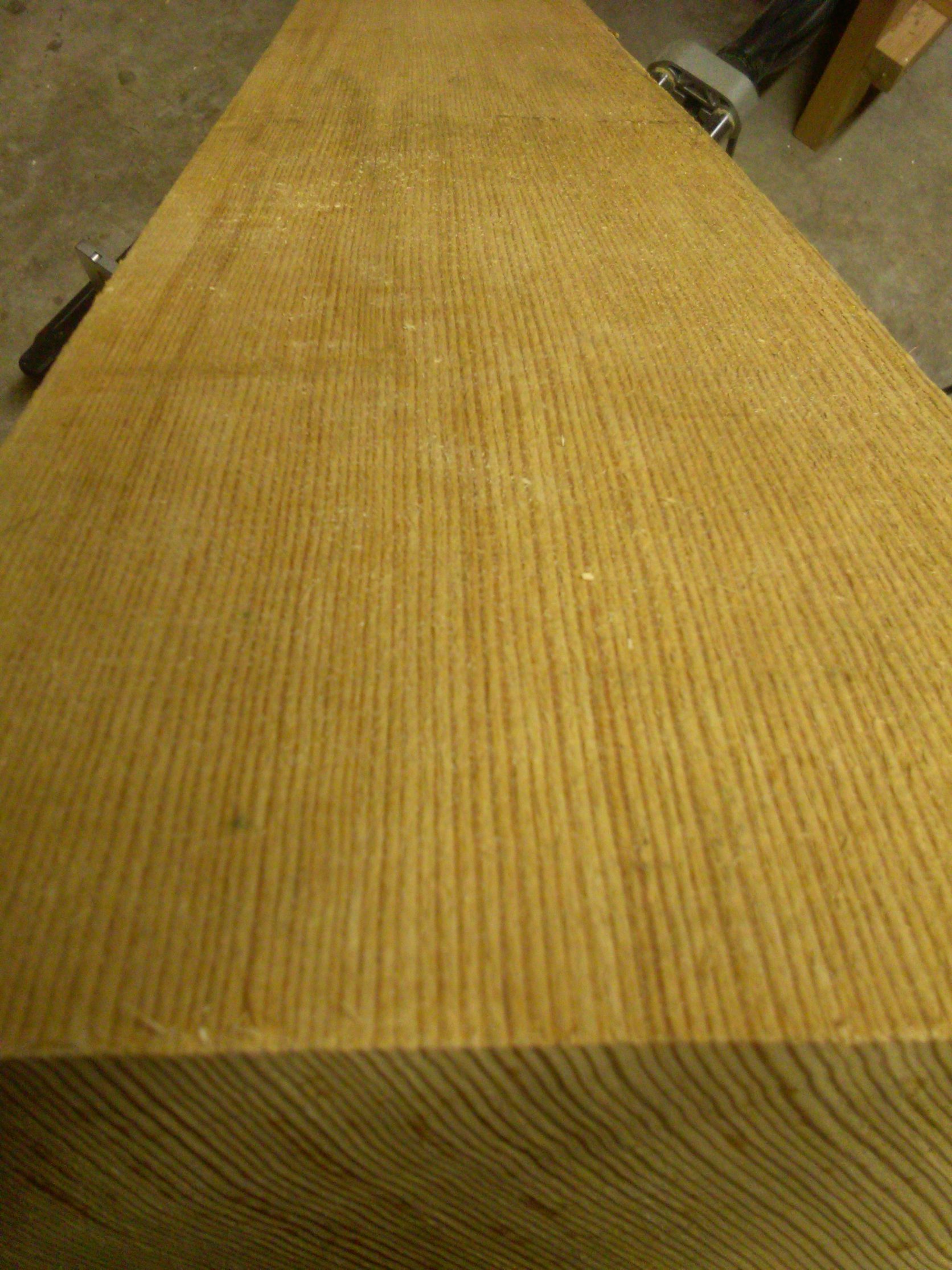 Douglas Fir 2.jpg