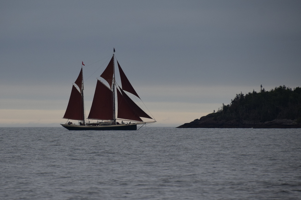 The gaff ketch Angelique approaches Babbidge Island