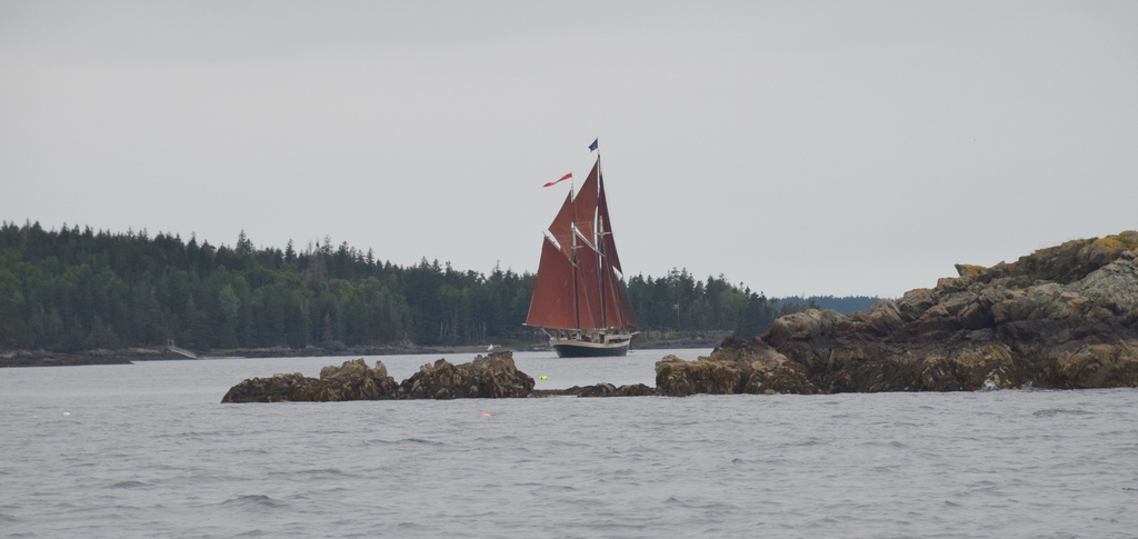 The gaff ketch Angelique sails in Little Thorofare