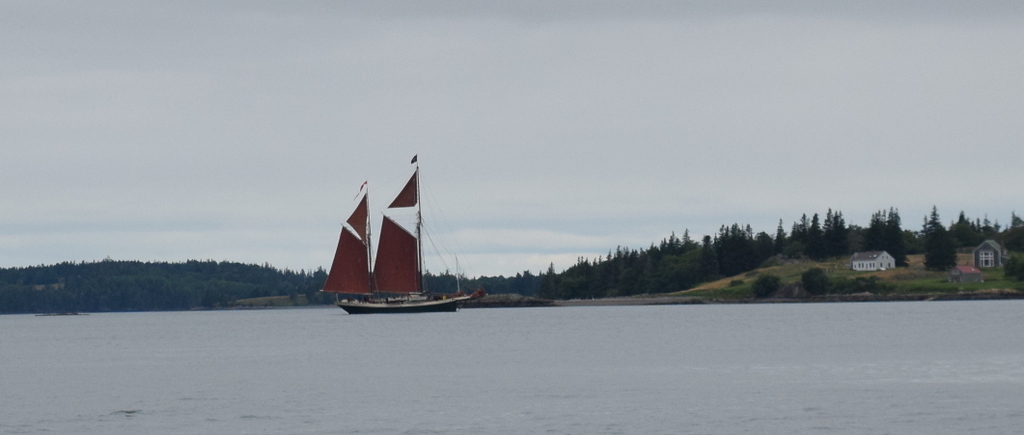 The gaff ketch Angelique anchors in Little Thorofare