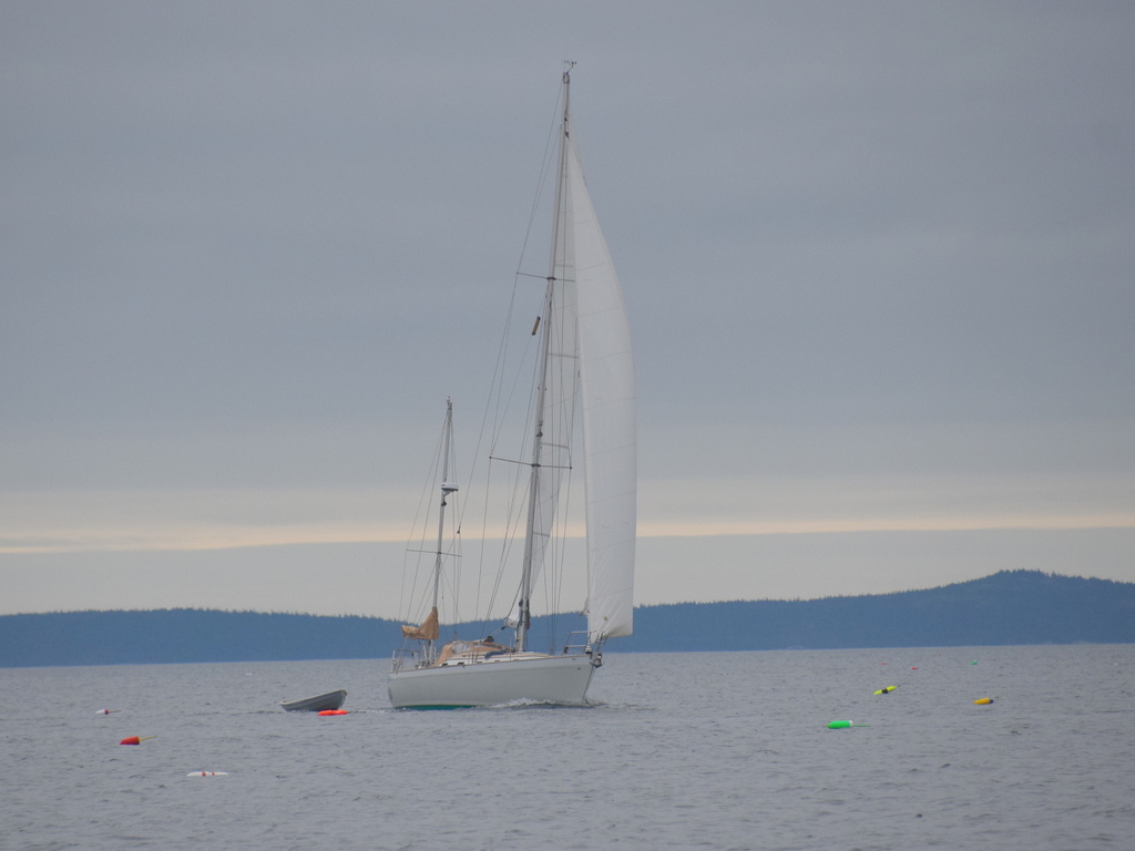 The 45-foot wooden yawl Zingara enters Fox Islands Thorofare from East Penobscot Bay