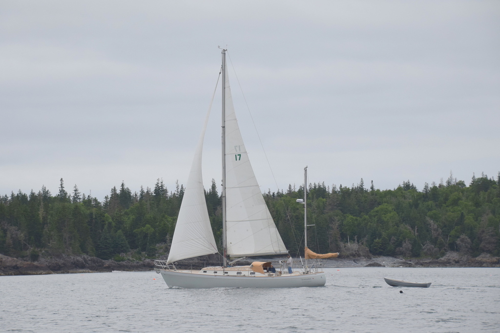 The 45-foot wooden yawl Zingara sails past Simpsons Island in Fox Islands Thorofare