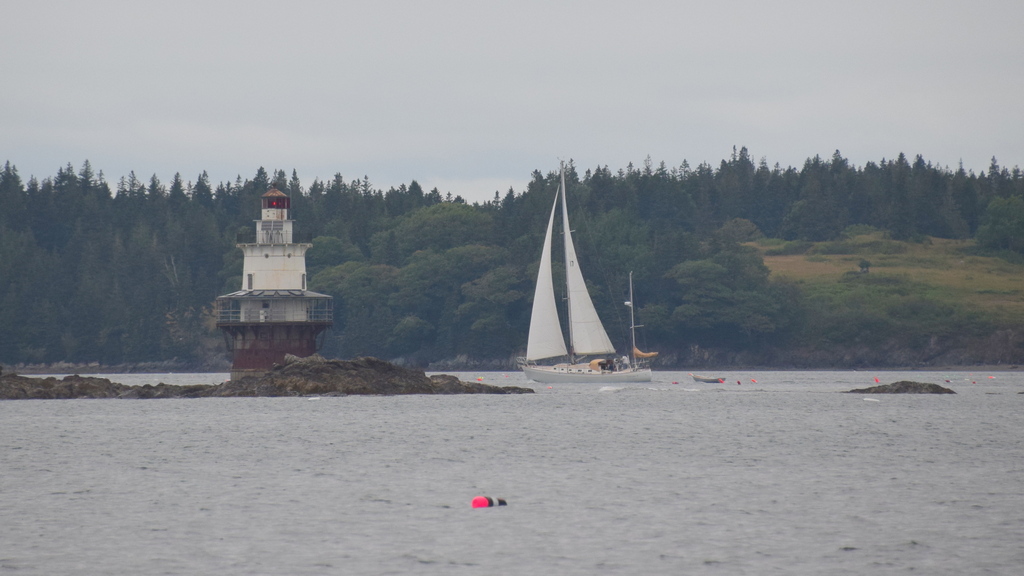 Zingara sails past Goose Rock Lighthouse, Fox Islands Thorofare, Maine