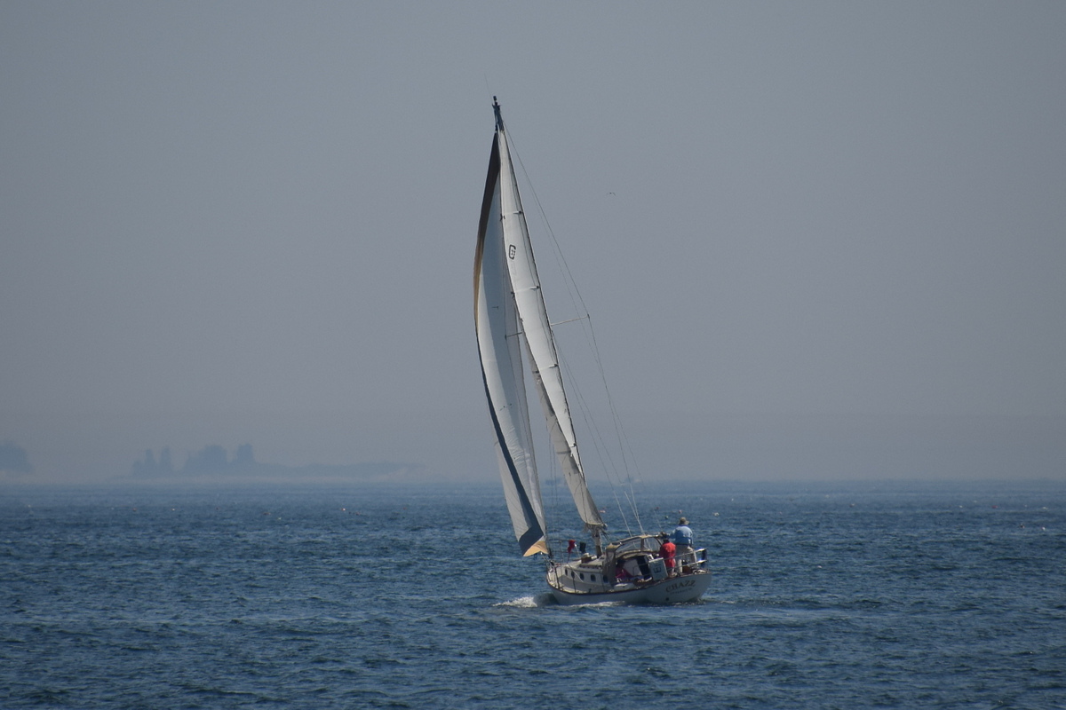 DSC_2642a.JPG