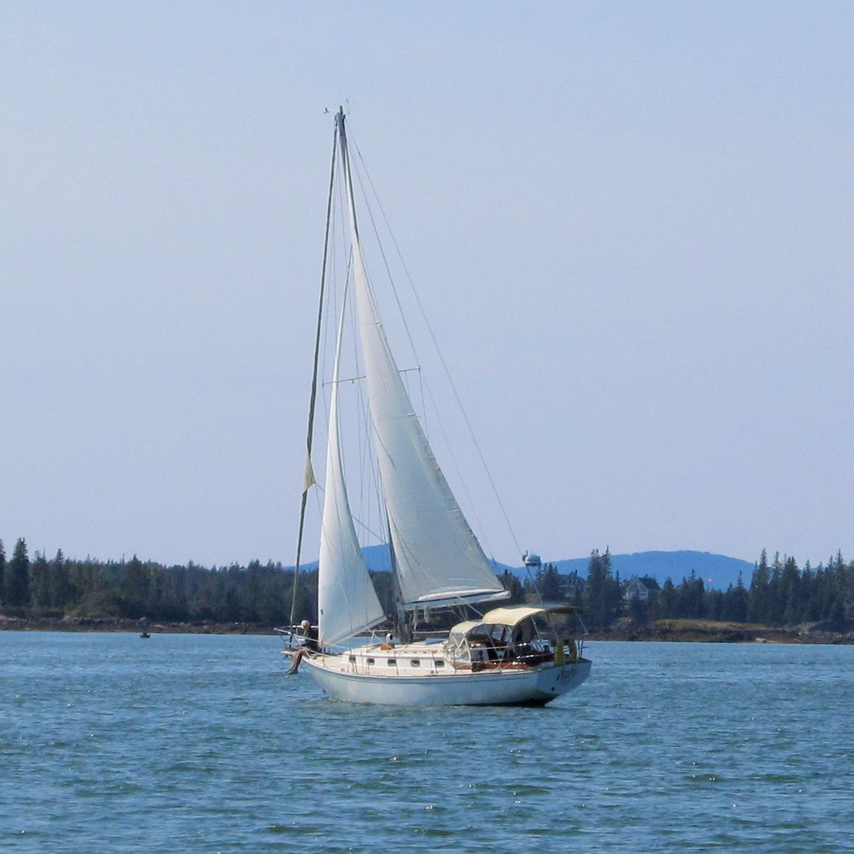 IMG_2020b.JPG