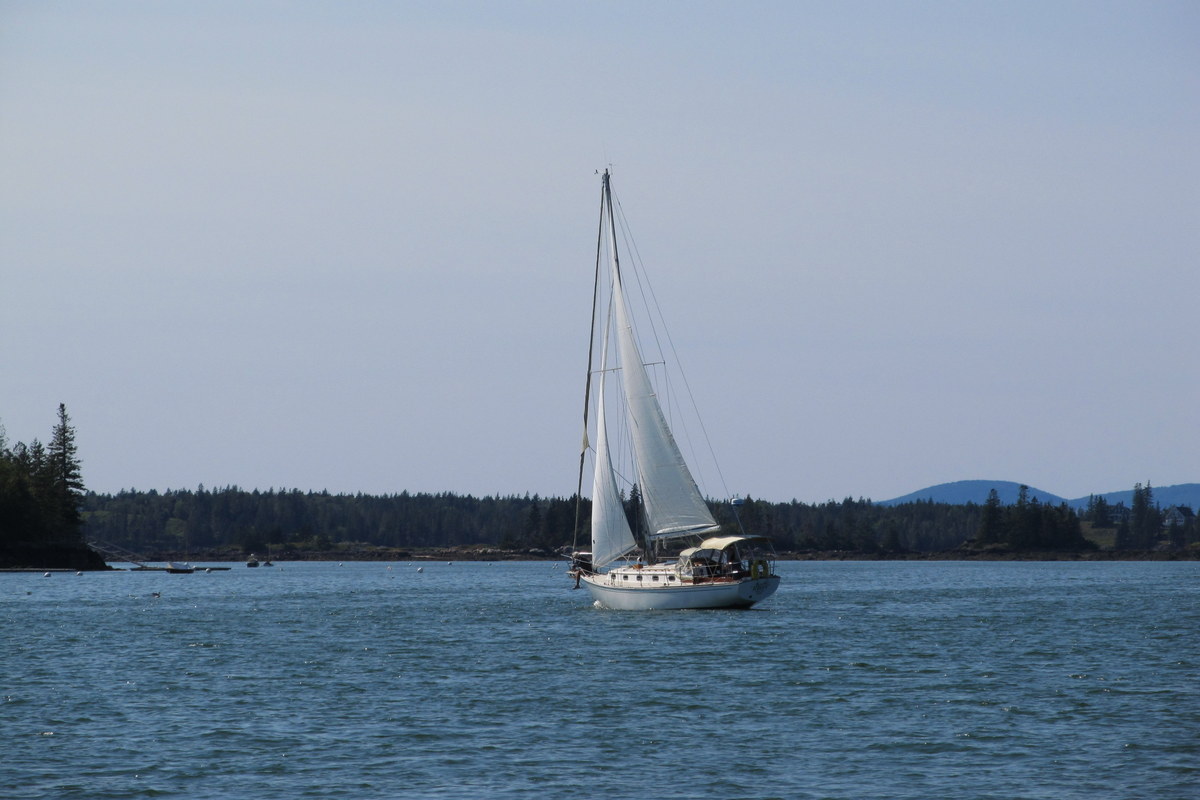 IMG_2022a.JPG