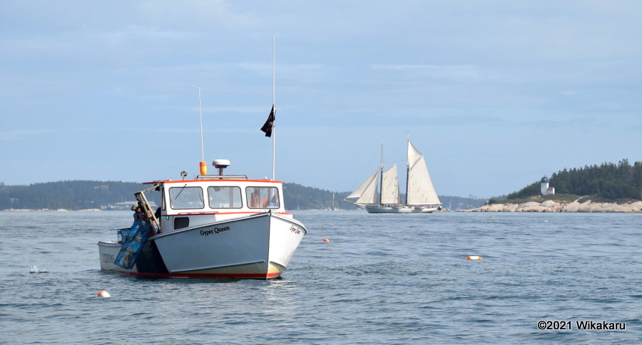 The lobster boat Gypsy Queen hauls traps off Mark Island