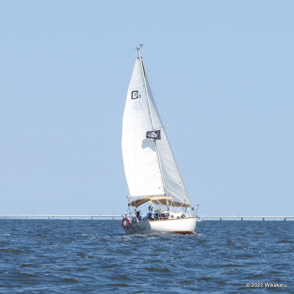 IMG_4667a.jpg