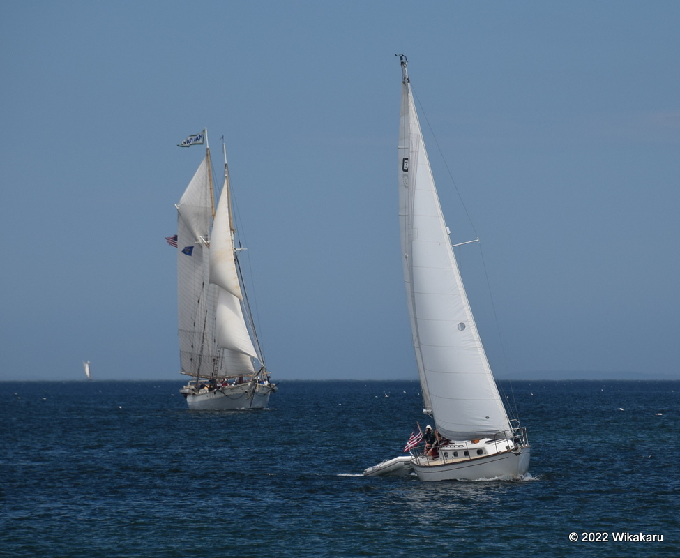 The schooner Mary Day and the CD33 Astarte