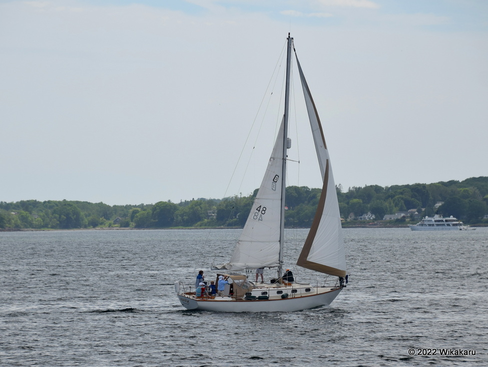 Chazz sails into Rockland Harbor