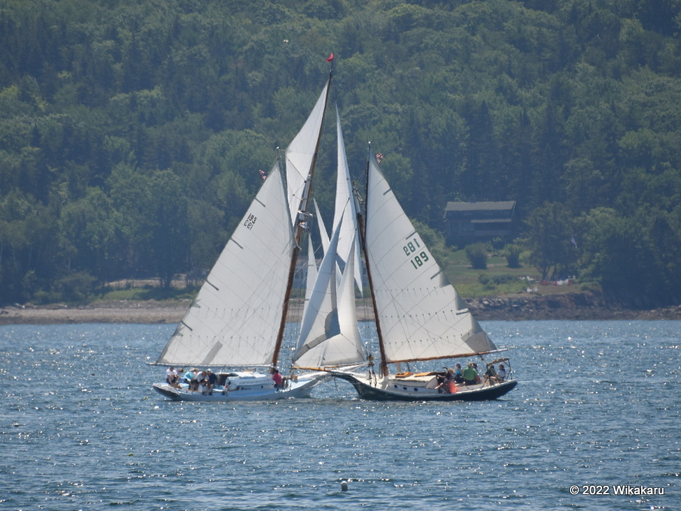 Lady M. (FSS193) and Jabberwocky (FSS189) crossing tacks, 2022 Friendship Sloop Reendezvous and Race, Rockland