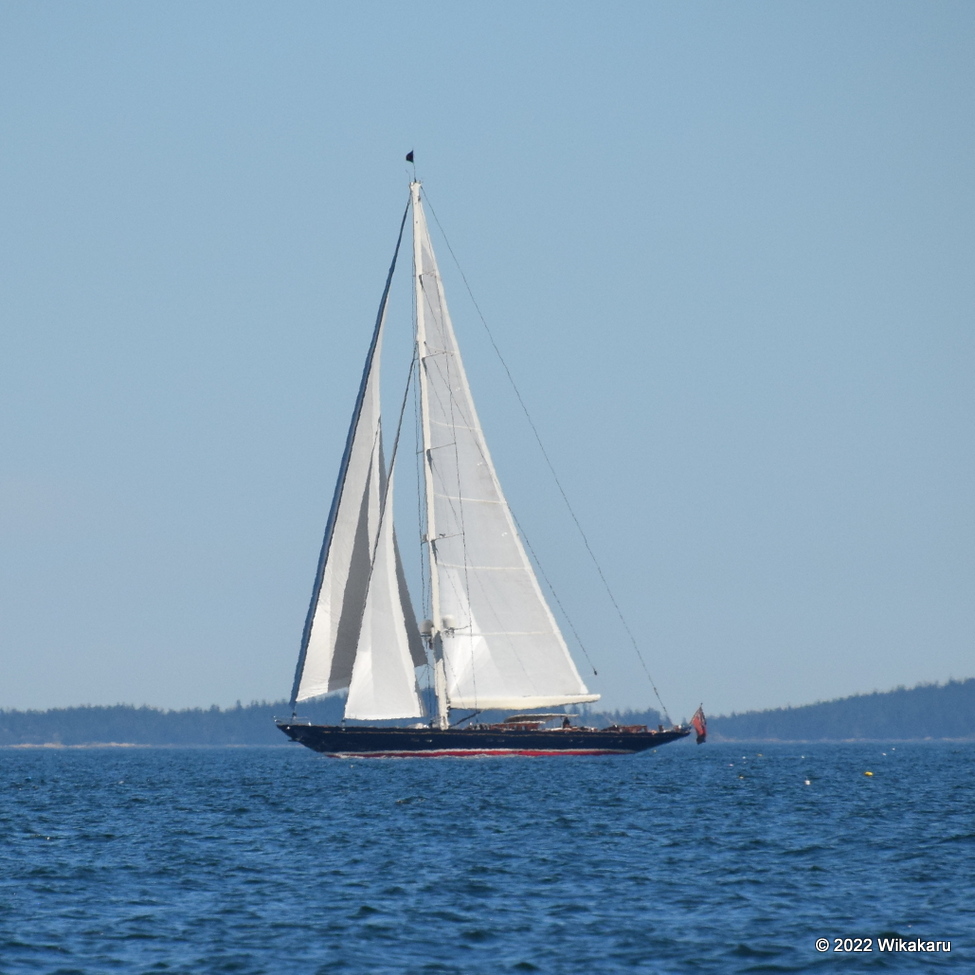 The 175-foot sloop Anne sails in East Penobscot Bay