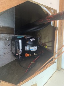 IMG_1207.jpeg
