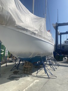 IMG_1252.jpeg