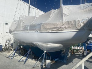 IMG_1253.jpeg