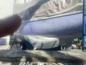 IMG_1255.jpeg