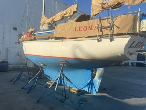 IMG_1201.jpeg