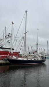 IMG_3972.jpeg