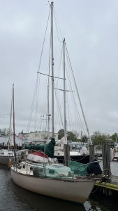IMG_3976.jpeg