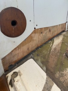 IMG_1381.jpeg