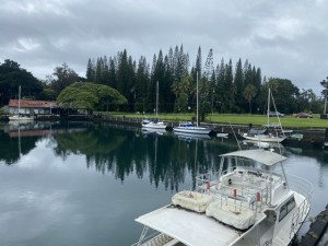 IMG_1397.jpeg