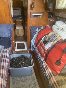 IMG_1428.jpeg