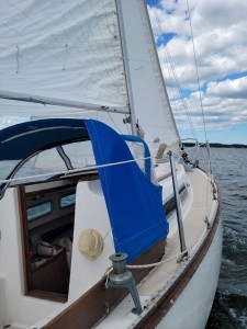 20210623_144552.jpg