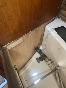 IMG_1505.jpeg