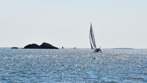 Astarte sailing towards The Sugar Loaves and Fiddlers Ledge, Fox Islands Thorofare, Maine