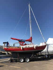 IMG_3858 copy.jpg