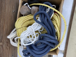 IMG_5916.jpeg