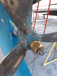 prop.jpg