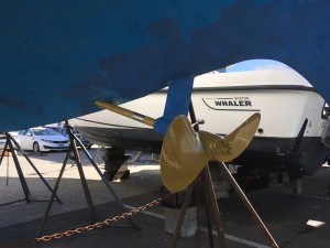 Propeller_Number_4.JPG