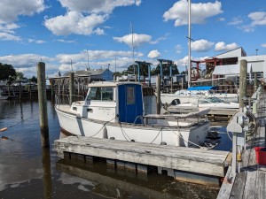 CD at the Dock.jpg