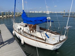 IMG_2953.jpeg