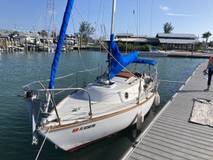 IMG_2952.jpeg