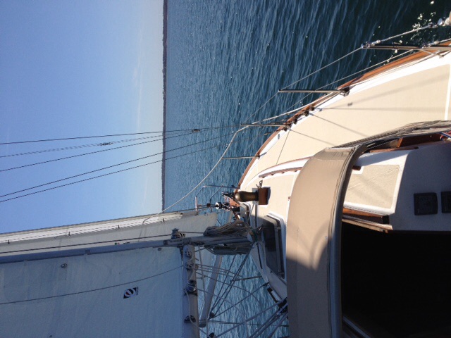 Perfect first sail