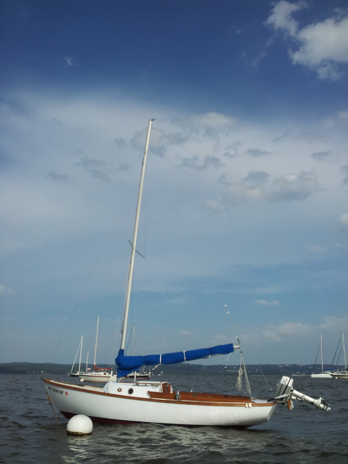 Typhoon at mooring.jpg