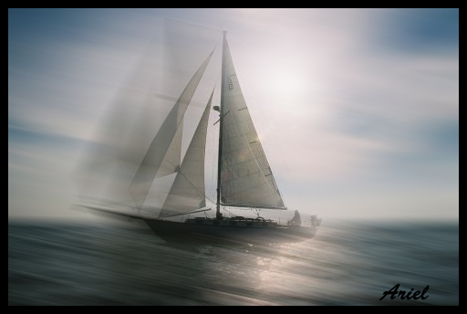 CD36 ARIEL sailing.jpg