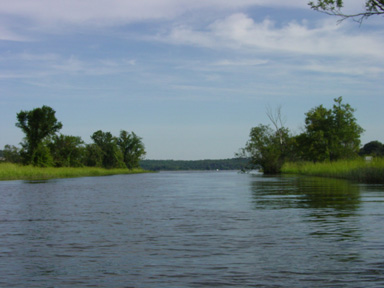 Selden Creek 2.JPG