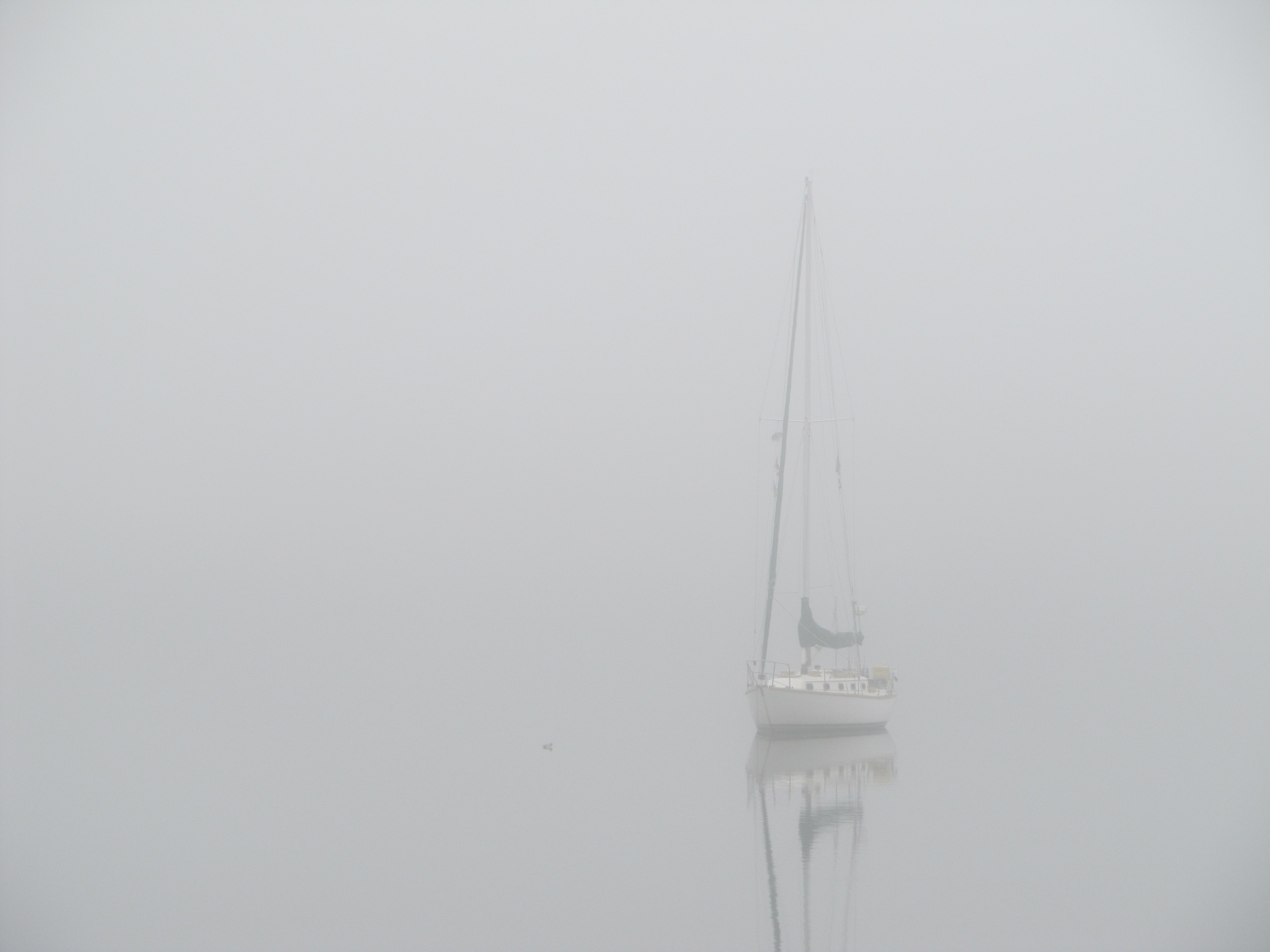 70 Rover in Fog, McMicking Inlet, Campania Island, BC.JPG