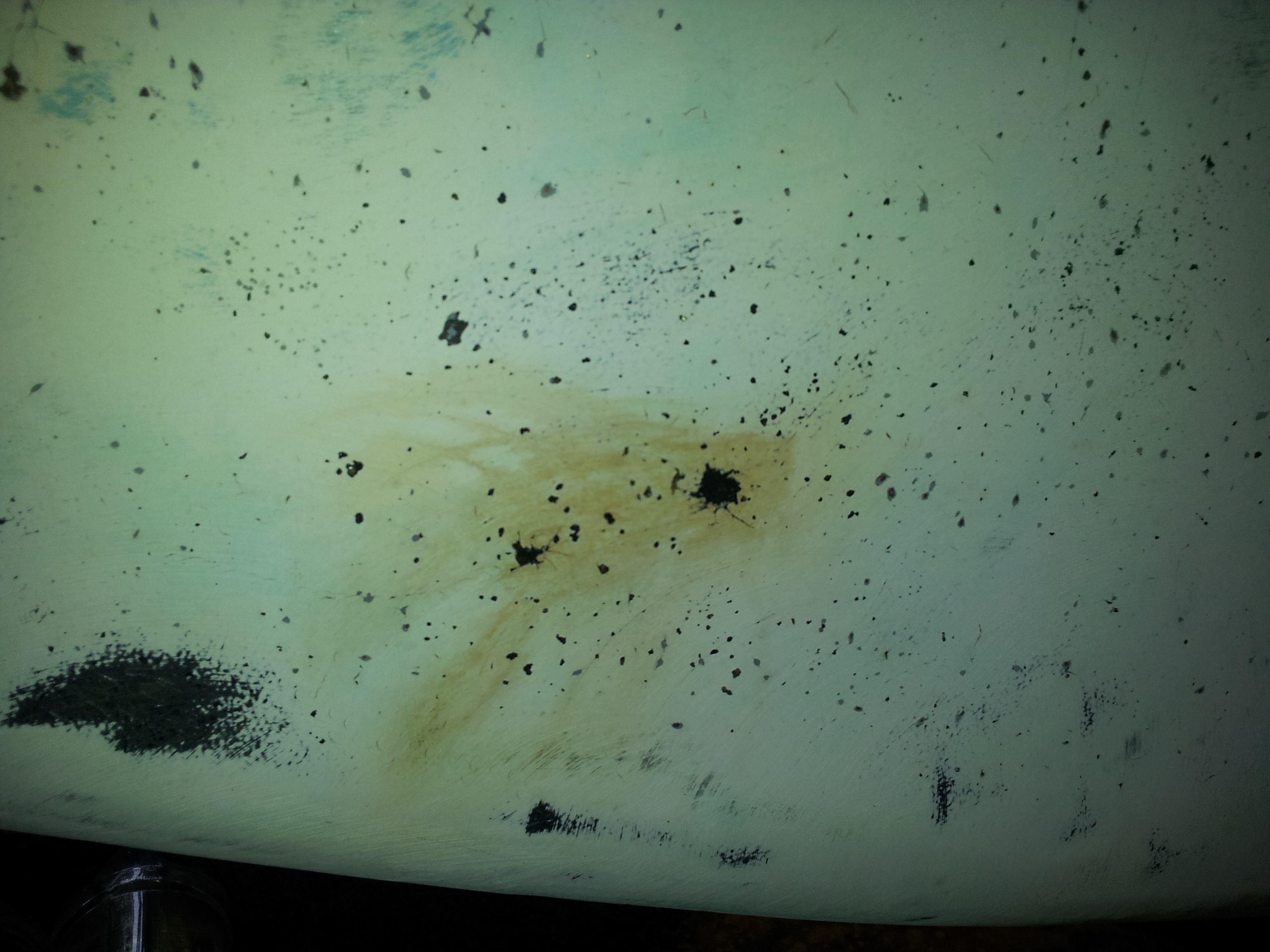 Rust colored weeping