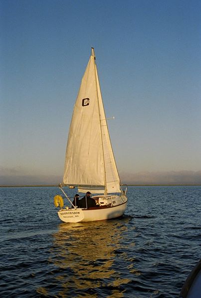 moonshadow2.jpg