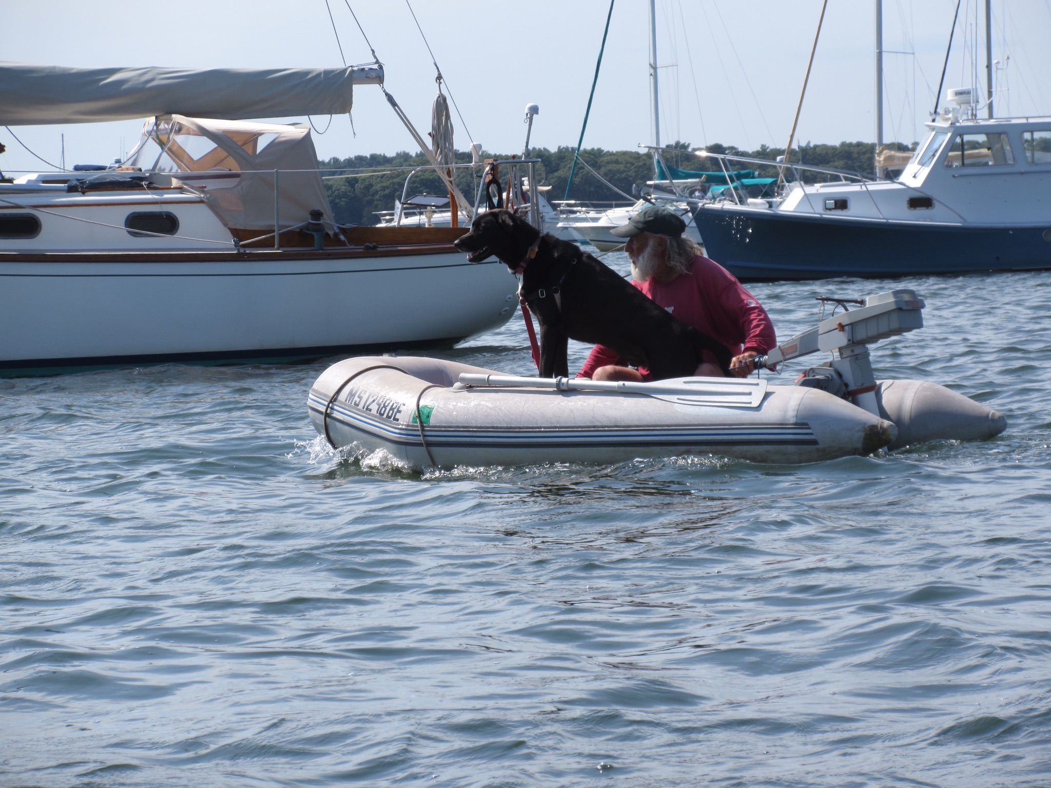 14 Jul 2018.  Neil Gordon, Red Brook Harbor.