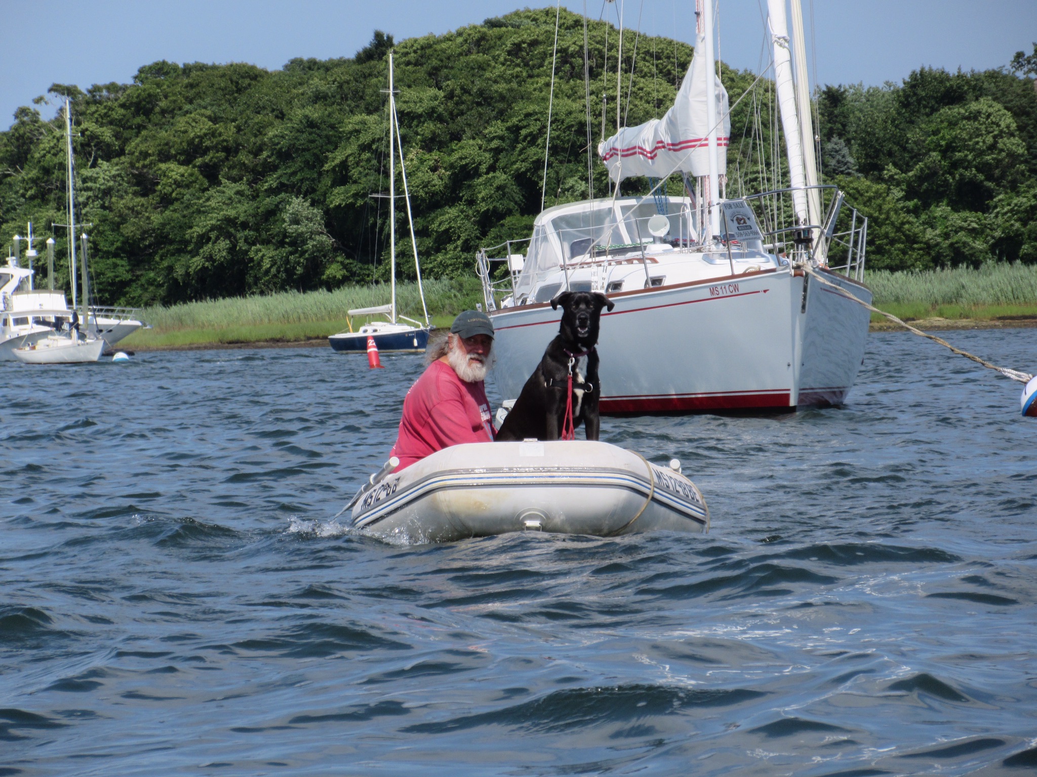 14 Jul 2018.  Neil Gordon, Red Brook Harbor.