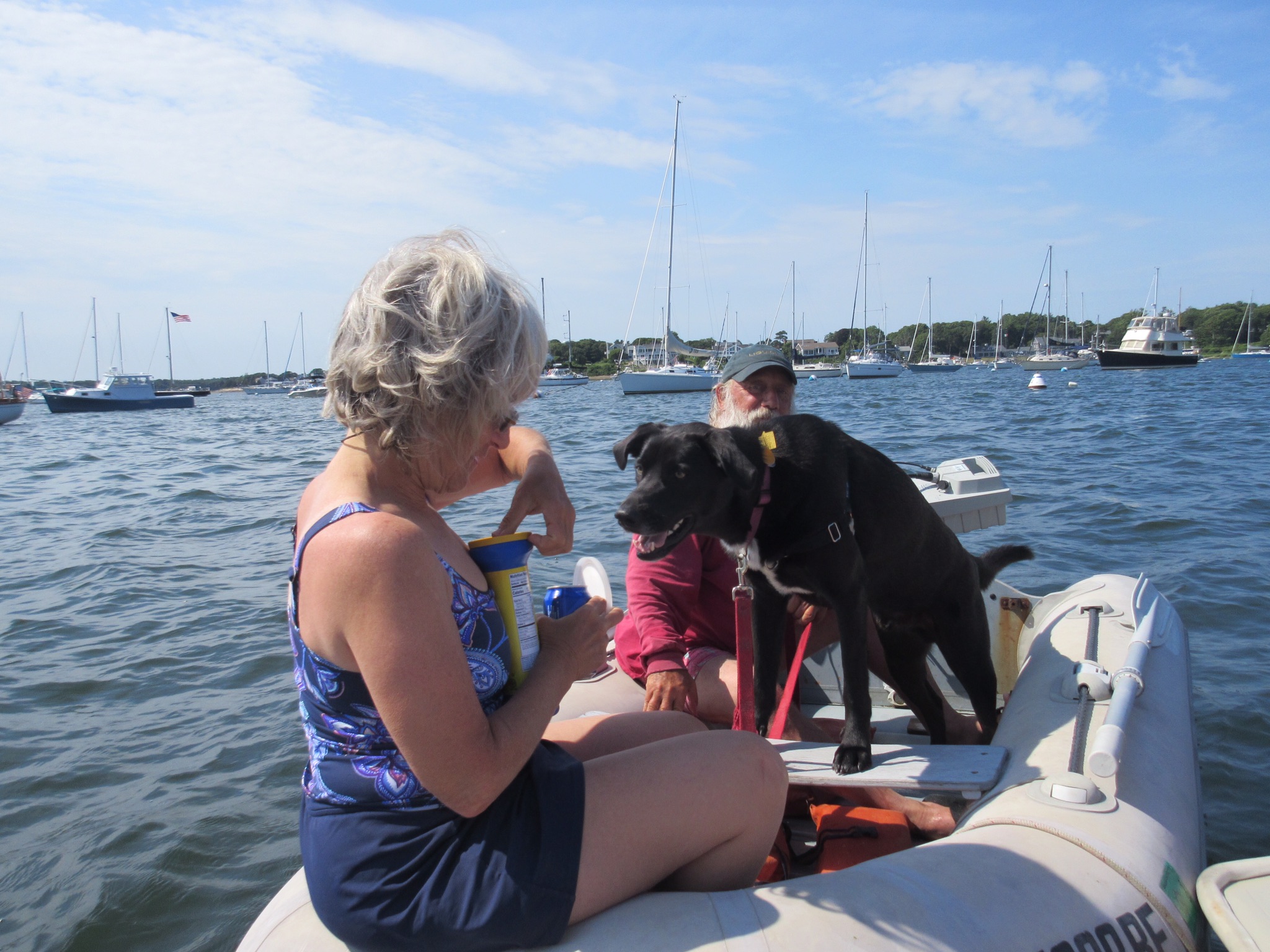 14 Jul 2018.   Laura Weisel and Neil Gordon, Red Brook Harbor.