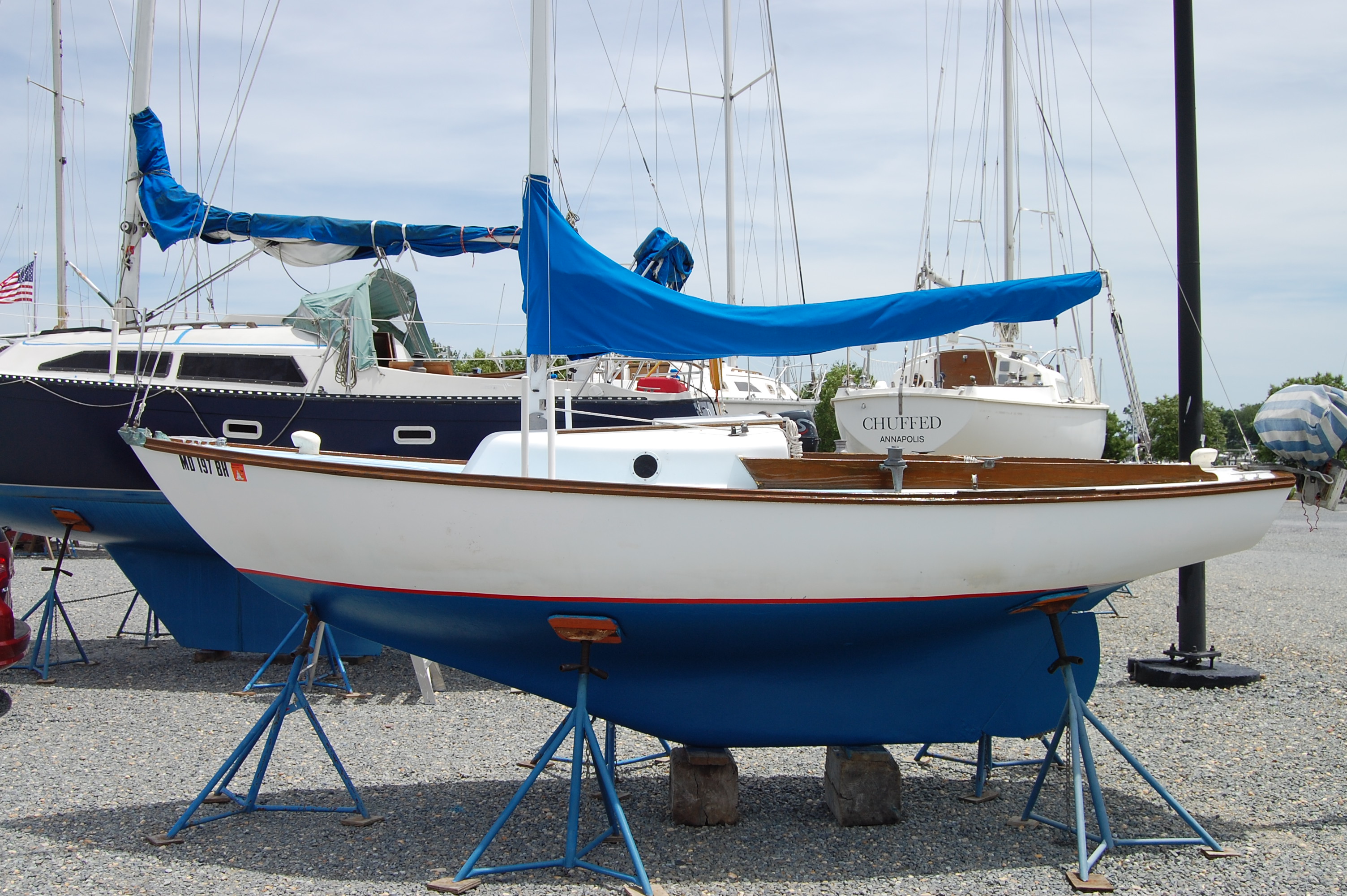 DSC_0008.JPG