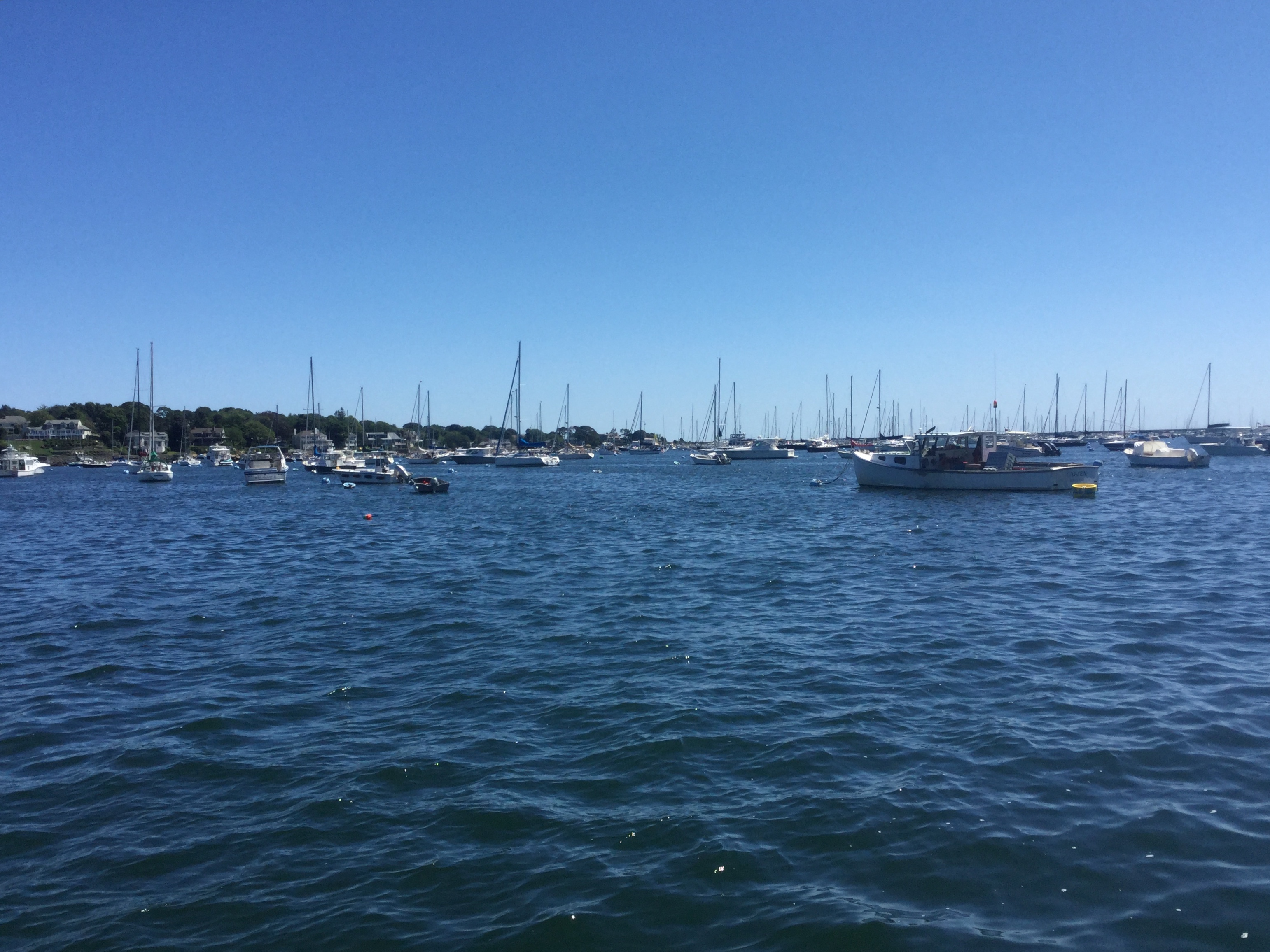 19 Jul 2018.  Marblehead Harbor.