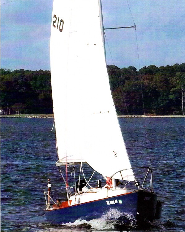 fall sailing 2020.jpeg